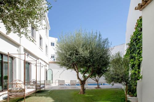 a tree in the courtyard of a building at Hotel Infanta Leonor in Écija