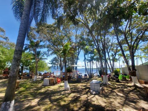um parque com palmeiras e o oceano ao fundo em Frente ao Mar em Ilha Comprida