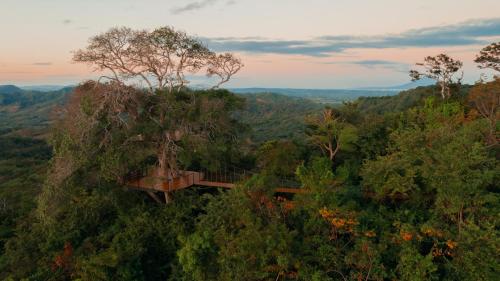 a tree house in the middle of a forest at TreeCasa Hotel & Resort Nicaragua in San Juan del Sur