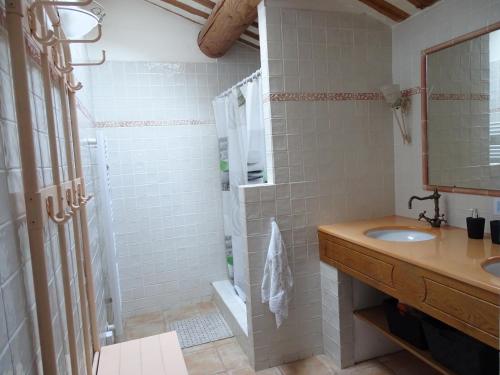 W łazience znajduje się prysznic, umywalka i lustro. w obiekcie Logement charme provençal w mieście Cabannes