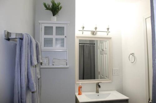 a bathroom with a sink and a mirror at ☆The Oasis in Murray Hill☆ -sleeps 8- WiFi- Cozy in Jacksonville