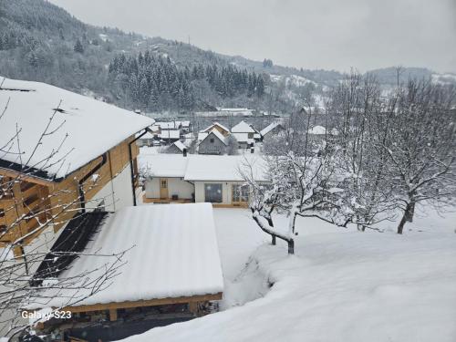 a house covered in snow with trees and buildings at Casa Mara Viseu de Sus in Vişeu de Sus