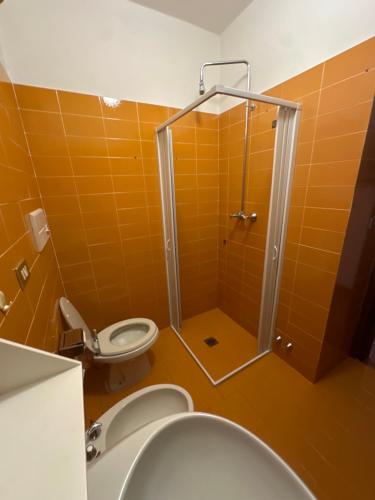 e bagno con doccia, servizi igienici e lavandino. di Panoramic apartment n 71 a San Martino di Castrozza
