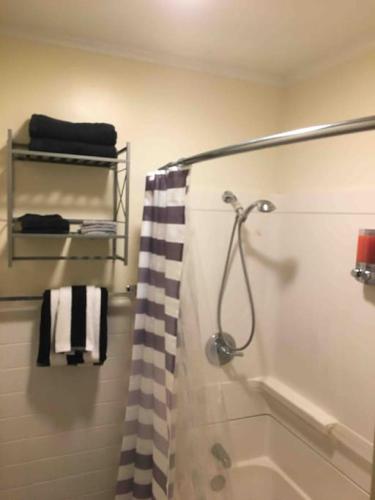 a bathroom with a shower with a black and white shower curtain at The luxury lounge in Schenectady