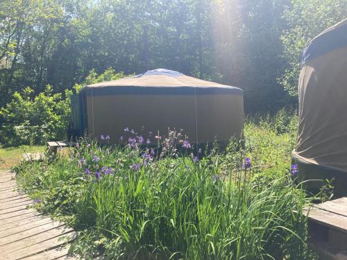 Taman di luar Barefoot Yurts