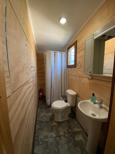 een badkamer met een toilet en een wastafel bij Cabañas Nalhuitad in Molina