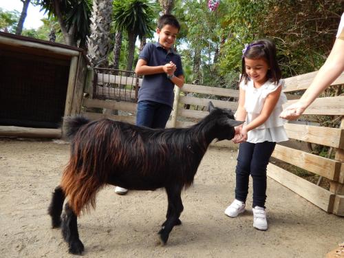 Hotel Selwo Lodge - Animal Park Tickets Included photo 45