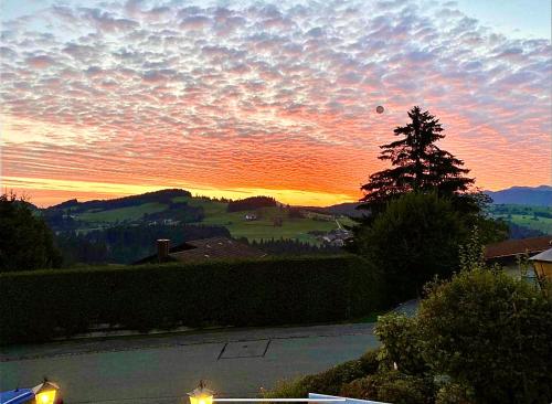a sunset with a view of a field and a tree at Hotel JMS Holiday Allgäu in Oberreute