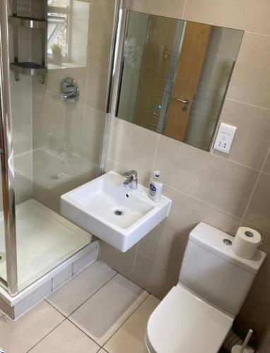 a bathroom with a sink and a toilet and a shower at Lovely Private Rooms in Euston, Central London in London