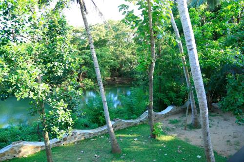 a view of a river in a forest with trees at River Edge Yala in Tissamaharama