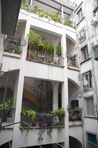 Maison Olivia, nuovo appartamento in zona Chiaia