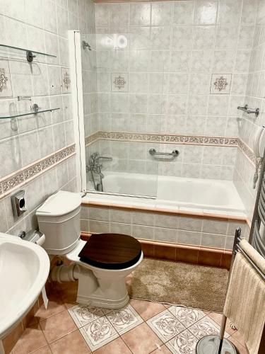 a bathroom with a toilet and a bath tub at Palace Inn in Jíloviště