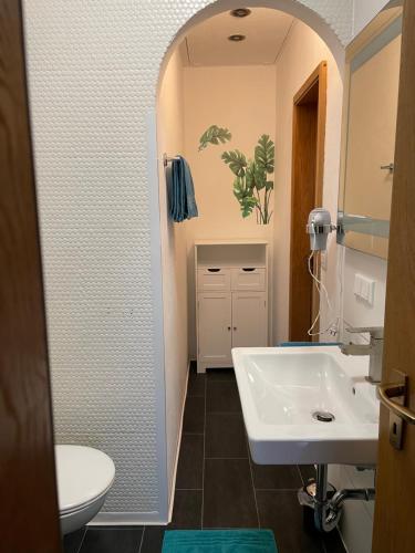 a bathroom with a sink and a toilet at FeWo Claudinenburg in Großhabersdorf