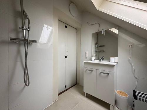 La salle de bains blanche est pourvue d'une douche et d'un lavabo. dans l'établissement Ferienwohnung Malin, à Ludwigshafen