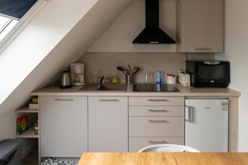 eine Küche mit einer Spüle und einer Mikrowelle in der Unterkunft La Roseraie des Princes in Montbéliard