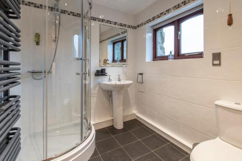 a bathroom with a shower and a sink and a toilet at Glan Morfa Holiday Lodges in Gaerwen