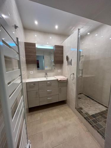 a bathroom with a shower and a sink at Disneylodge in Chessy