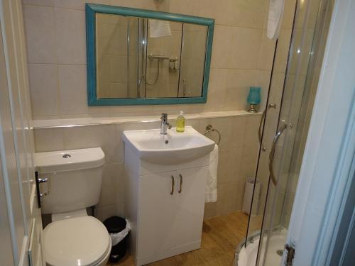a bathroom with a toilet and a sink and a mirror at 5 bedrooms sleeps 10-12 free wifi & parking garden in Lundin Links