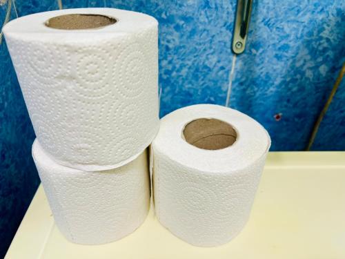 dwie rolki papieru toaletowego siedzące na blacie w obiekcie Un studio au centre ville de Tunis w mieście Tunis
