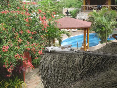 Výhľad na bazén v ubytovaní Hotel Nantu Hostería alebo v jeho blízkosti