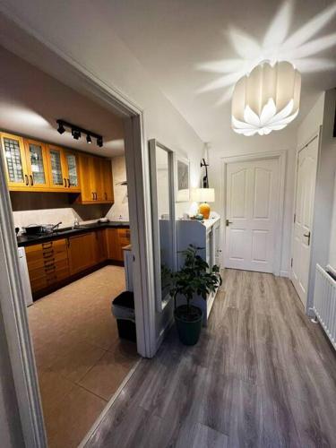 a kitchen with a potted plant and a chandelier at Snug House - Dromore Village - Lagan River View in Dromore