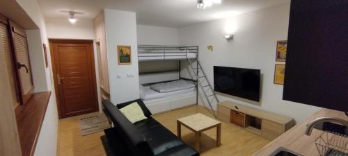 um pequeno quarto com um beliche e uma televisão em Apartmán U nás 