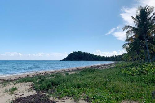 einen Strand mit einer Palme und dem Meer in der Unterkunft 5 bedroom Exclusive Beach Villa - WOW! villa in Punta Santiago