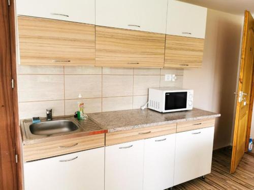 uma cozinha com um lavatório e um micro-ondas em Köröstorok Apartmanok em Csongrád