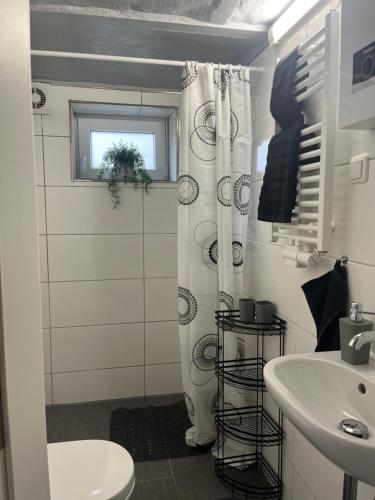 a bathroom with a shower and a toilet and a sink at kleine Flora - Apartment in Minden