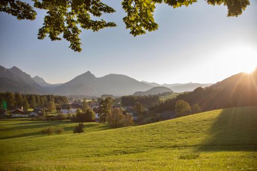 un champ vert avec des montagnes en arrière-plan dans l'établissement Branntweinhäusl, à Sankt Wolfgang im Salzkammergut