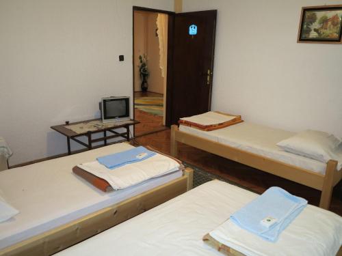 a room with three beds and a television on a table at LAVRNIĆ in Apatin
