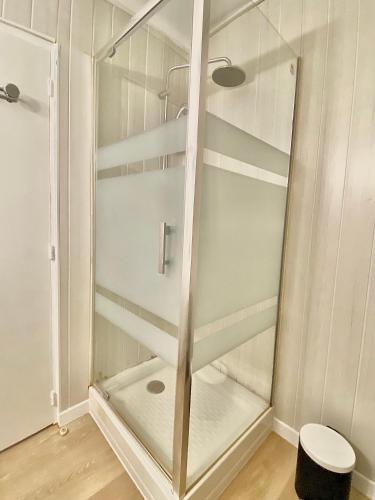 La salle de bains est pourvue d'une douche en verre et de toilettes. dans l'établissement PACA Properties 57A - Studio cosy, à Cannes