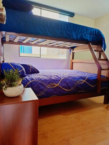 a bunk bed in a room with a potted plant at Full Equipped Department close to American Embassy and Solca in Quito