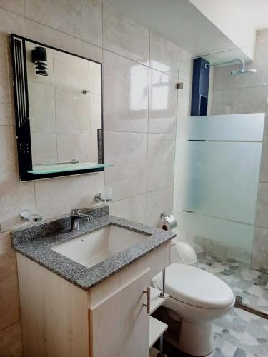 La salle de bains est pourvue d'un lavabo, de toilettes et d'un miroir. dans l'établissement Full Equipped Department close to American Embassy and Solca, à Quito