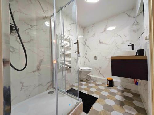 a bathroom with a shower and a toilet and a sink at Grand appart 6 pers Cœur de Nemours in Nemours