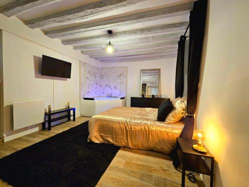 a bedroom with a bed and a tv on the wall at Love Escape in Nemours