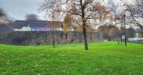 a tree in a park with a stone wall at Brook Manor Lodge in Tralee