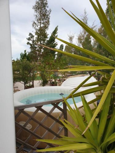 - une vue sur la piscine depuis une usine dans l'établissement Mobil home, jacuzzi, vélos, barbecue et mer et plage à 300m, à Hyères