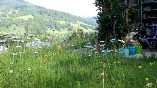 a field of grass with flowers in front of a mountain at Casa Picca & Lotta in Radenthein