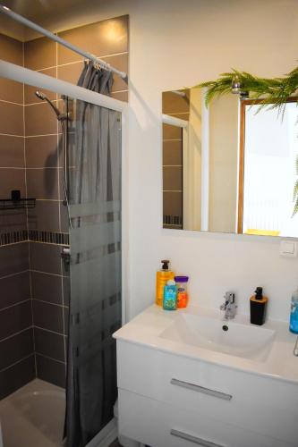 uma casa de banho com um lavatório e um chuveiro em Logement cozy proche du centre-ville em Poitiers