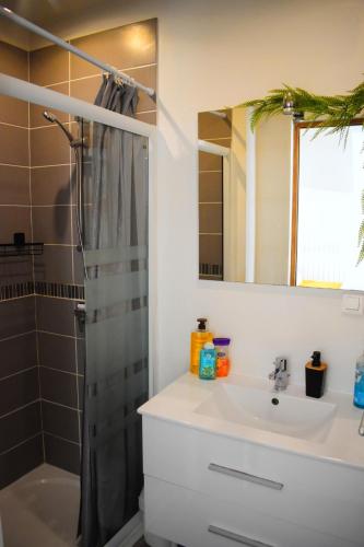 ein Badezimmer mit Waschbecken und Dusche in der Unterkunft Logement cozy proche du centre-ville in Poitiers