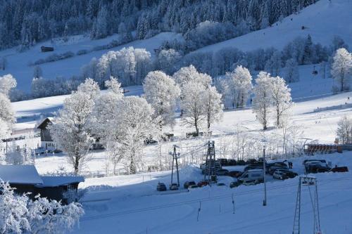 a snow covered field with trees and cars parked at Nicky apartments and studios in Niederau