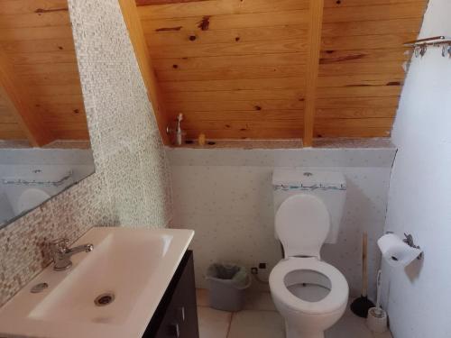 Koupelna v ubytování Cabana Alpina en La Granja