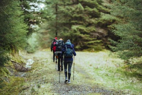 a group of people walking down a forest trail at UNA RESORT in Bosanska Krupa