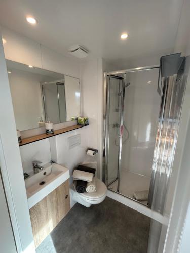 een badkamer met een douche, een toilet en een wastafel bij La parenthèse de Sully in Saint-Péray