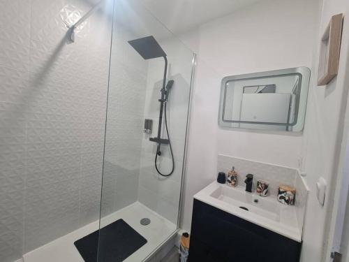 uma pequena casa de banho com um chuveiro e um lavatório. em Bel Appartement Meximieux Centre Ville 2 chambres em Meximieux