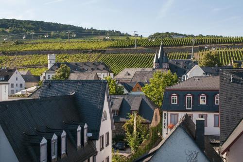 an aerial view of a town with vineyards and houses at Hajo´s Germania Lodge & Irish Pub in Rüdesheim am Rhein