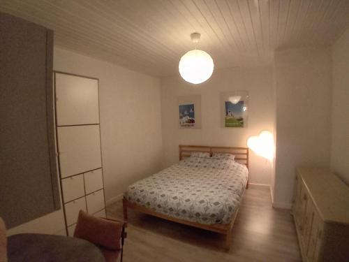 ein Schlafzimmer mit einem Bett in einem Zimmer mit einer Lampe in der Unterkunft Appart chartreux baignoire massante ,à 2 minutes du centre! in Voiron