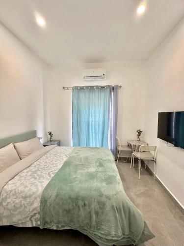 a bedroom with a large bed and a television at JARA HOME Malaga Centro in Málaga