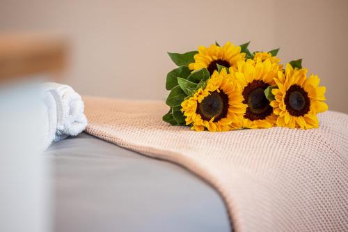 FEEL HOME - COLLET